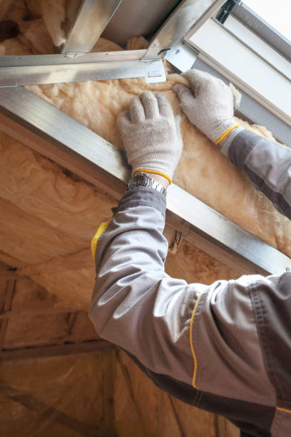 Types of Insulation We Offer in Maiden, NC