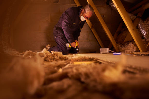 Best Eco-Friendly Insulation in Maiden, NC
